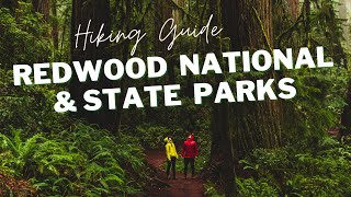 REDWOOD NATIONAL PARK HIKING GUIDE  ROAD TRIP UP NORTHERN CALIFORNIA [upl. by Serrell878]