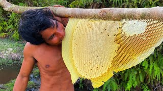 Million Dollars Skill Brave Millionaire Harvesting Honey Beehive by Hands [upl. by Modestia]