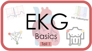 EKG Basics  Step by Step  Grundlagen Einthoven Frequenz Lagetyp PWelle QRS EKGKurs [upl. by Olocin]