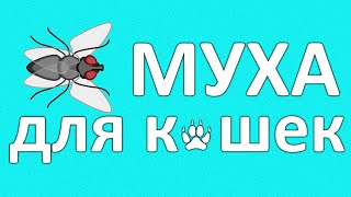 🐾 Муха Игра для котов кошек на экране Муха летает и ползает [upl. by Leahcir]