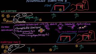 Diabète de type II  Pathophysioplogie  Docteur Synapse [upl. by Filemon654]